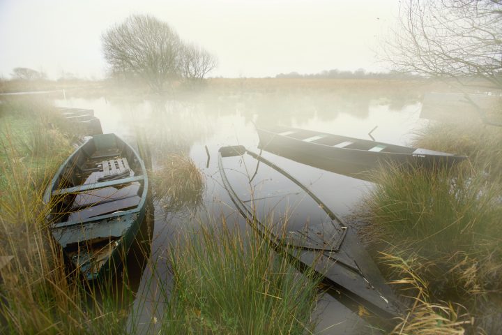 Alte Boote im nebligen Sumpf mit Gräsern