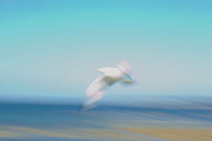 Unscharfe Möwe fliegt über blauem Himmel und Meer.