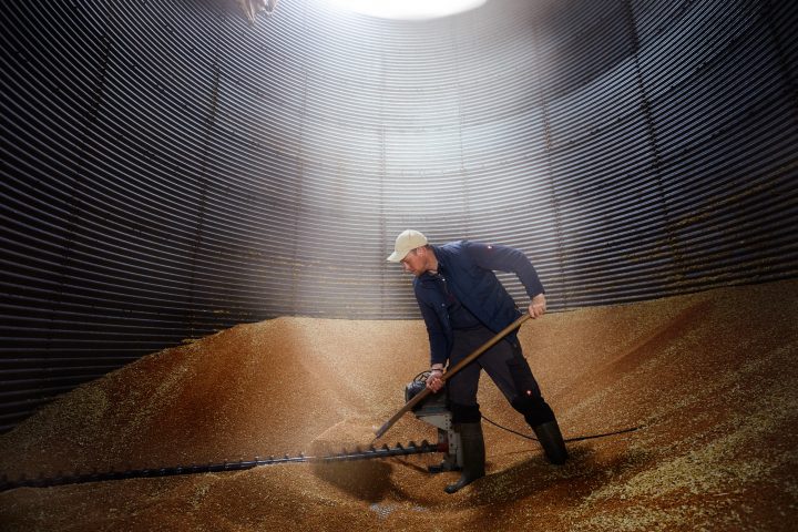 Arbeiter schaufelt Getreide in großem Silo