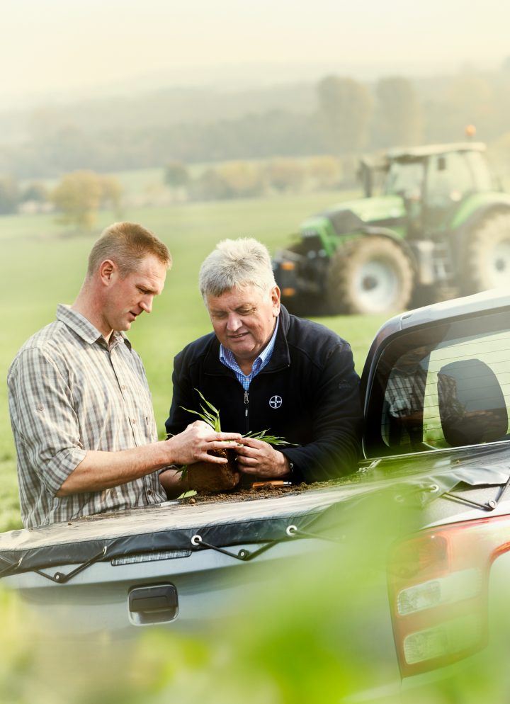 Bauern analysieren Erde auf Pickup, grünes Feld im Hintergrund.