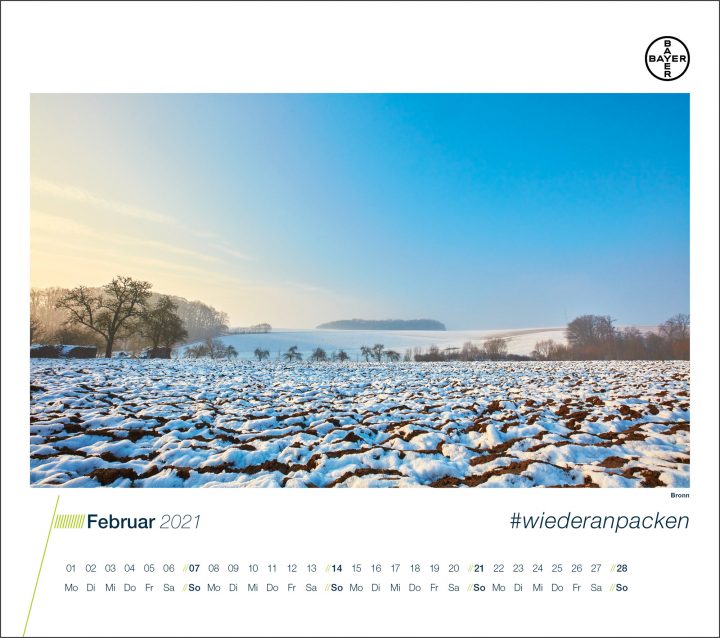Winterlandschaft mit schneebedecktem Feld im Februar.