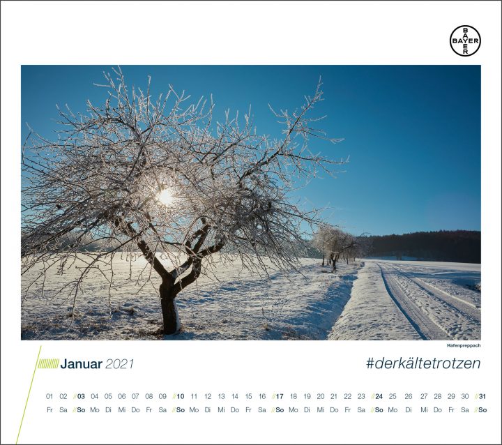 Winterlandschaft mit verschneiten Bäumen und klarem Himmel.