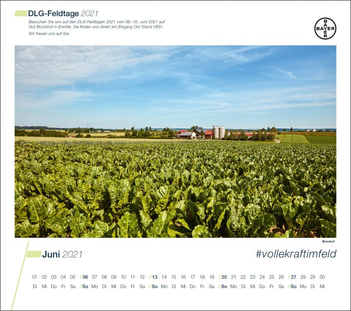 Zuckerrübenfeld bei DLG-Feldtagen 2021 im Juni.