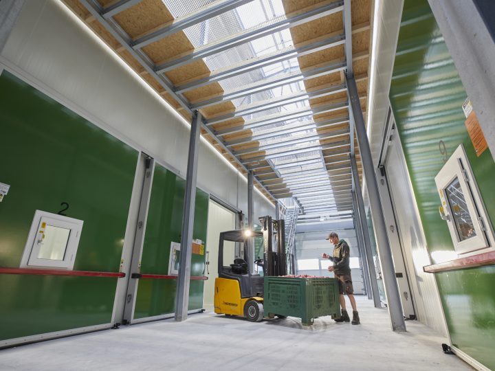 Mann inspiziert Äpfel in Lagerhalle mit Gabelstapler.